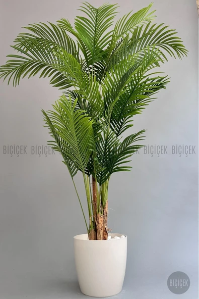 BİÇİÇEK Yapay Areka Ağaci 220 Cm 4 Gövdeli̇ Krem Yakut Saksıda ürün görseli 1