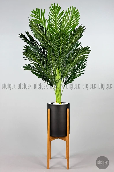 BİÇİÇEK Areka Ağaci 150 Cm Si̇yah Metal Ayakli Saksıda Tek Gövdeli̇ ürün görseli 1