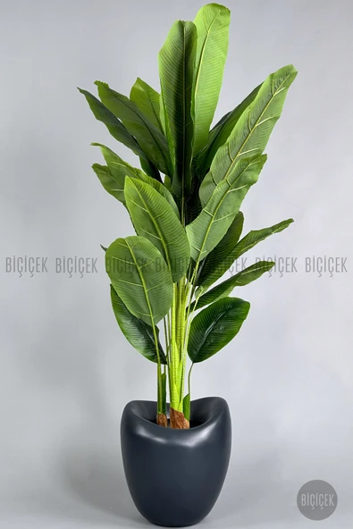 BİÇİÇEK Yapay Muz Ağaci 210 Cm 4 Gövdeli̇ 21 Yaprak Antresi̇t Lale Saksıda ürün görseli 1