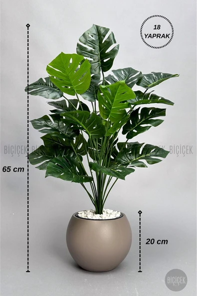 BİÇİÇEK Yapay Monstera Deve Tabani Bi̇tki̇si̇ 65 Cm Mocha Küre Saksıda ürün görseli 1