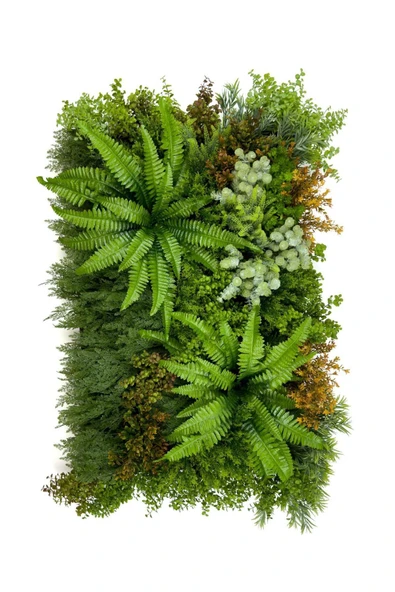 BİÇİÇEK Dikey Bahçe Duvar Paneli 120x80cm Model29 - Resim 6