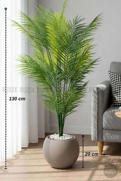 BİÇİÇEK Areka Ağaci 24 Yapraklı 130 Cm Mocha Küre Saksıda ürün görseli 1