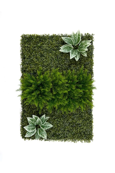 BİÇİÇEK Dikey Bahçe Duvar Paneli 120x80cm Model8 - Resim 5