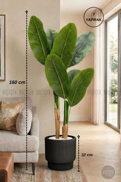 BİÇİÇEK Yapay Starli̇ce 160 Cm 7 Yapraklı Si̇yah Vega Saksıda ürün görseli 1