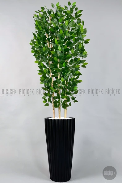 BİÇİÇEK Yapay Benjamin Ağacı 6 Dallı Yoğun Yapraklı 220 Cm Siyah Lilyum Saksıda ürün görseli 1