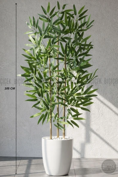 BİÇİÇEK 110 Cm Bambu Ağacı Beyaz Yakut Saksıda ürün görseli 1