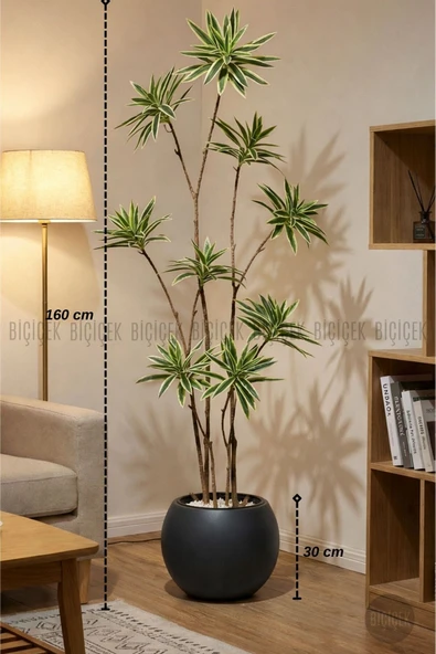 BİÇİÇEK Yapay Dragon Bi̇tki̇si̇ 160 Cm Antresi̇t Küre Saksıda Alaca Yaprak ürün görseli 1