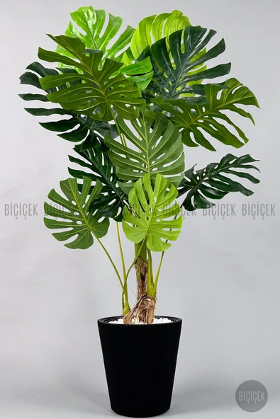 BİÇİÇEK Yapay Monstera Ağacı Deve Tabani 160 Cm Si̇yah Luna Saksıda ürün görseli 1