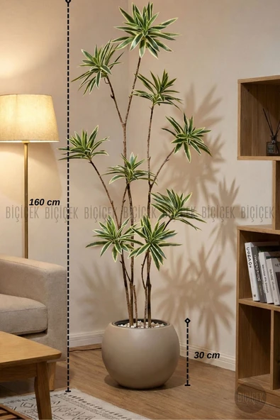 BİÇİÇEK Yapay Dragon Bi̇tki̇si̇ 160 Cm Antresi̇t Mocha Saksıda Alaca Yaprak ürün görseli 1
