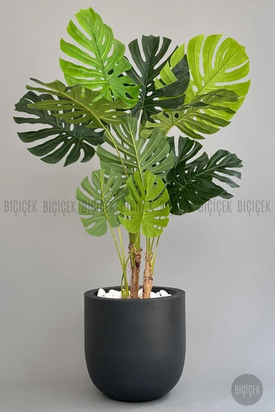 BİÇİÇEK Yapay Monstera Ağacı Deve Tabani 180 Cm Antresi̇t Çeşme Saksıda ürün görseli 1