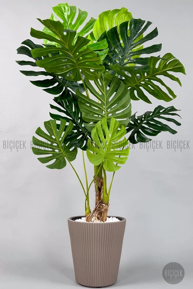 BİÇİÇEK Yapay Monstera Ağacı Deve Tabani 160 Cm Mocha Luna Saksıda ürün görseli 1