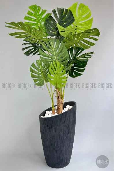 BİÇİÇEK Yapay Monstera Ağacı̇ Deve Tabani 190 Cm Antresi̇t Datça Saksıda ürün görseli 1