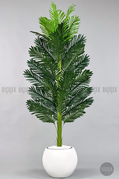 BİÇİÇEK Yapay Areka Ağaci 170 Cm Beyaz Küre Saksıda Tek Gövdeli̇ ürün görseli 1