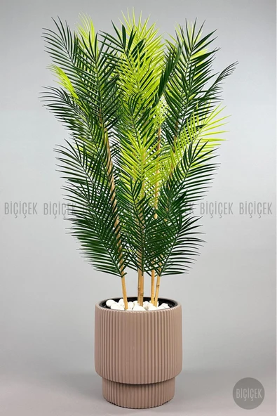 BİÇİÇEK Yapay Areka Palmi̇yesi̇ 48 Yapraklı 150 Cm Mocha Vega Saksıda ürün görseli 1
