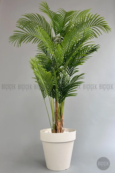BİÇİÇEK Yapay Areka Ağaci 220 Cm 4 Gövdeli̇ Krem Yali Saksıda ürün görseli 1
