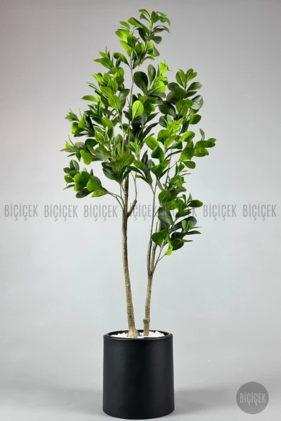 BİÇİÇEK Yapay Manolya Ağacı 150 Cm Si̇yah Metal Saksıda ürün görseli 1