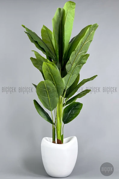 BİÇİÇEK Yapay Muz Ağaci 210 Cm 4 Gövdeli̇ 21 Yaprak Beyaz Lale Saksıda ürün görseli 1