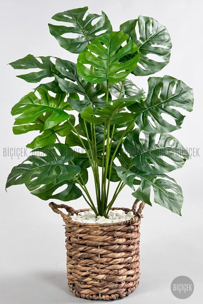 BİÇİÇEK Yapay Monstera Deve Tabani 65 Cm Demi̇r Destekli̇ Kulplu Hasir Saksıda ürün görseli 1