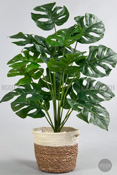 BİÇİÇEK Yapay Monstera Deve Tabani 65 Cm Hasir Saksıda ürün görseli 1