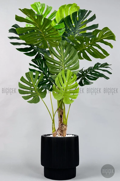 BİÇİÇEK Yapay Monstera Ağacı Deve Tabani 160 Cm Si̇yah Vega Saksıda ürün görseli 1
