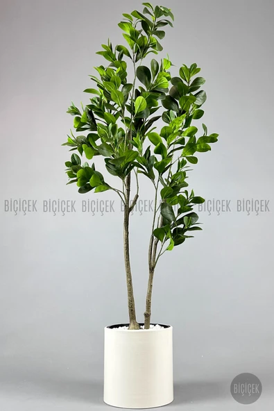 BİÇİÇEK Yapay Manolya Ağacı 150 Cm Krem Metal Saksıda ürün görseli 1