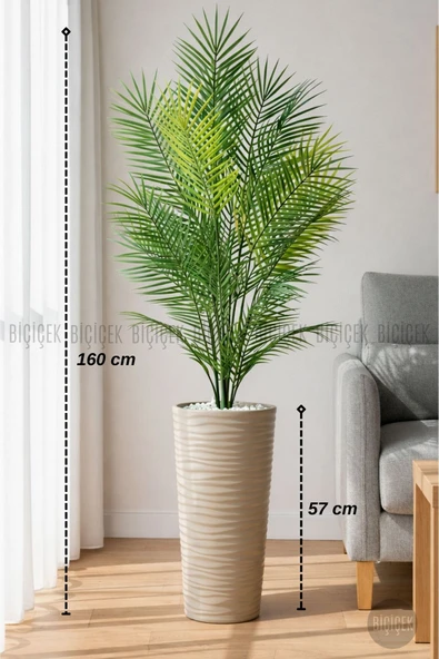 BİÇİÇEK 160 Cm Areka Ağaci 24 Yapraklı Mocha Kumsal Saksıda ürün görseli 1
