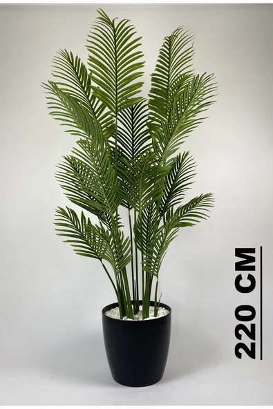 BİÇİÇEK Yapay Areka Palmi̇yesi̇ 220 Cm Metal Govdeli̇ Si̇yah Yakut Saksıda ürün görseli 1