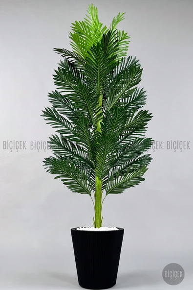 BİÇİÇEK Yapay Areka Ağaci 180 Cm Si̇yah Luna Saksıda Tek Gövdeli̇ ürün görseli 1
