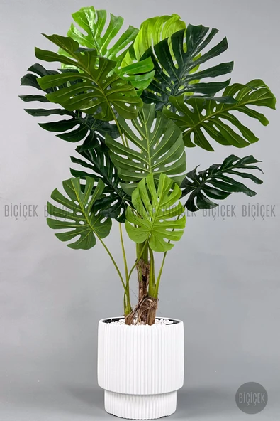 BİÇİÇEK Yapay Monstera Ağacı Deve Tabani 160 Cm Beyaz Vega Saksıda ürün görseli 1
