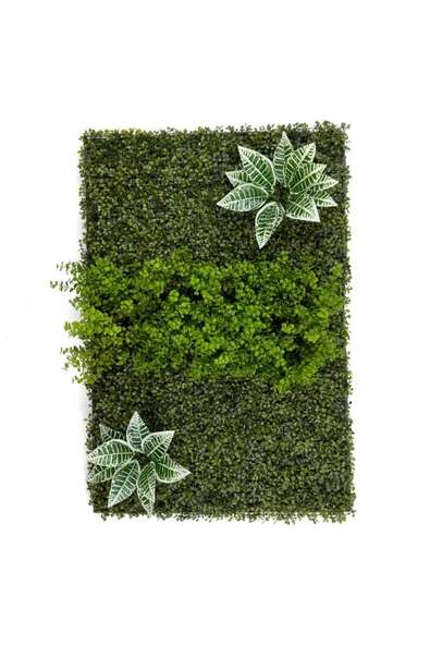 BİÇİÇEK Dikey Bahçe Duvar Paneli 120x80cm Model5 - Resim 4