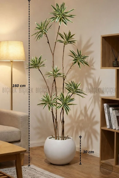 BİÇİÇEK Yapay Dragon Bi̇tki̇si̇ 160 Cm Beyaz Küre Saksıda Alaca Yaprak ürün görseli 1