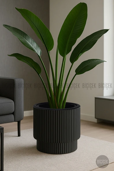 BİÇİÇEK Vega Saksı 32 Cm Mocha - Resim 4