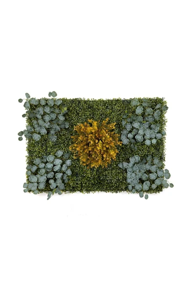 BİÇİÇEK Dikey Bahçe Duvar Paneli 120x80cm Model13 ürün görseli 1