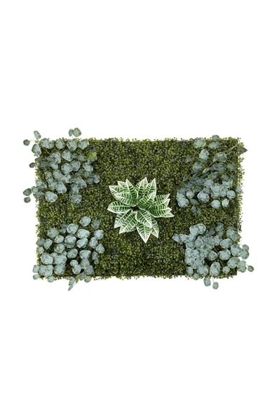 BİÇİÇEK Dikey Bahçe Duvar Paneli 120x80cm Model16 ürün görseli 1