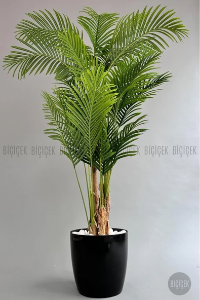 BİÇİÇEK Yapay Areka Ağaci 220 Cm 4 Gövdeli̇ Si̇yah Yakut Saksıda ürün görseli 1