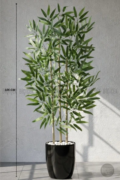 BİÇİÇEK 110 Cm Bambu Ağacı Siyah Yakut Saksıda ürün görseli 1
