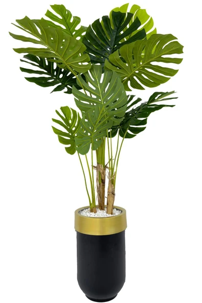 BİÇİÇEK Yapay Monstera Ağacı Deve Tabani 170 Cm Si̇yah Gold Darbuka Saksıda ürün görseli 1