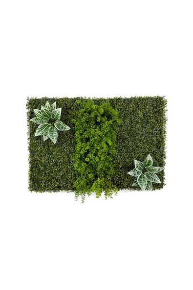 BİÇİÇEK Dikey Bahçe Duvar Paneli 120x80cm Model5 ürün görseli 1