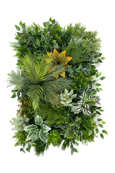 BİÇİÇEK Dikey Bahçe Duvar Paneli 120x80cm Model26 - Resim 6