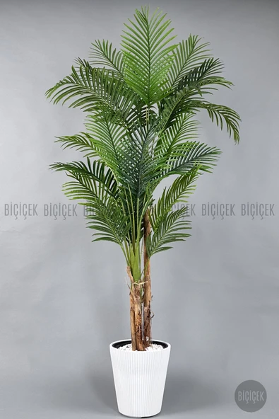 BİÇİÇEK Yapay Areka Ağaci 220 Cm Beyaz Luna Saksıda ürün görseli 1