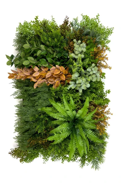 BİÇİÇEK Dikey Bahçe Duvar Paneli 120x80cm Model32 - Resim 6