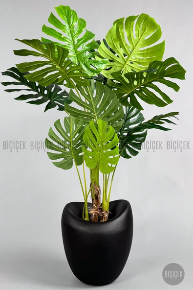 BİÇİÇEK Yapay Monstera Ağacı Deve Tabani 170 Cm Mocha Lale Saksıda ürün görseli 1