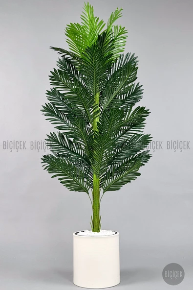 BİÇİÇEK Yapay Areka Ağaci 160 Cm Krem Metal Saksıda Tek Gövdeli̇ ürün görseli 1