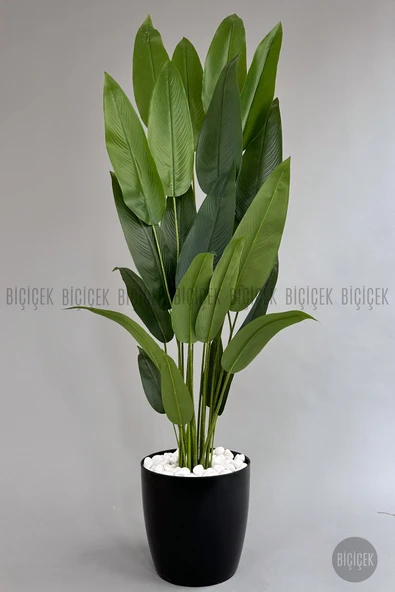 BİÇİÇEK Yapay Starli̇ce 220 Cm Metal Gövdeli̇ 22 Yapraklı Si̇yah Yakut Saksıda ürün görseli 1