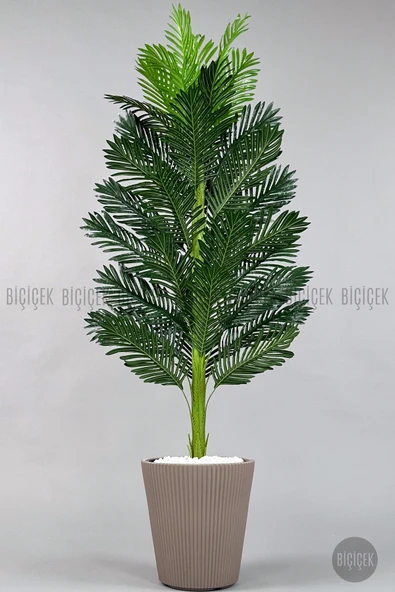 BİÇİÇEK Yapay Areka Ağaci 180 Cm Mocha Luna Saksıda Tek Gövdeli̇ ürün görseli 1