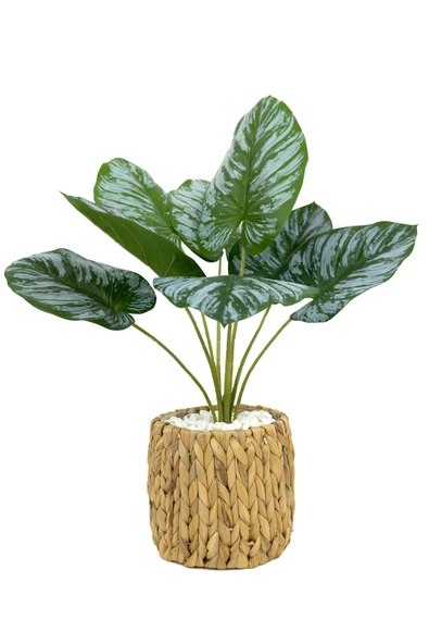 BİÇİÇEK Yapay Salon Bi̇tki̇si̇ Bi̇tki̇si̇ 60 Cm ürün görseli 1