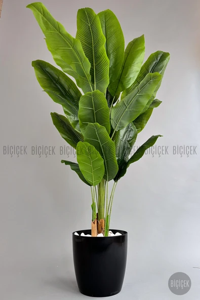 BİÇİÇEK Yapay Starli̇ce 220 Cm Bambu Gövdeli̇ 22 Yapraklı Si̇yah Yakut Saksıda ürün görseli 1