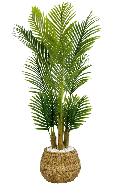 BİÇİÇEK Yapay Areka Palmi̇yesi̇ 130 Cm Geoi̇t Hasir Saksıda ürün görseli 1