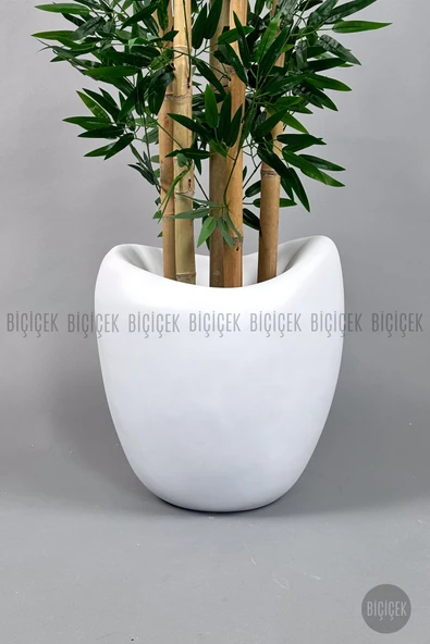 BİÇİÇEK Zen Bambu Ağacı 240 Cm Beyaz Bone Saksıda - Resim 2