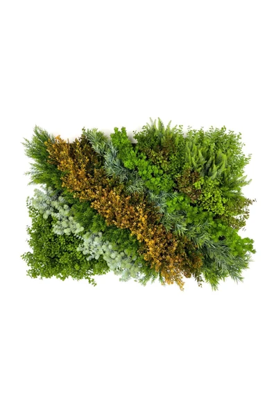 BİÇİÇEK Dikey Bahçe Duvar Paneli 120x80cm Model27 ürün görseli 1